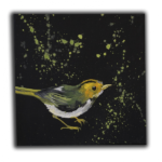 "Yellow Bird" Mixed media 10in x 10in SOLD