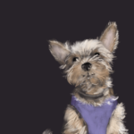 "Olive Moon" digital illustration, 8" x 10" not for sale